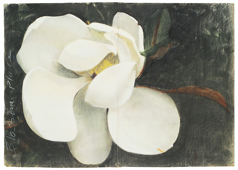 Magnolia5
