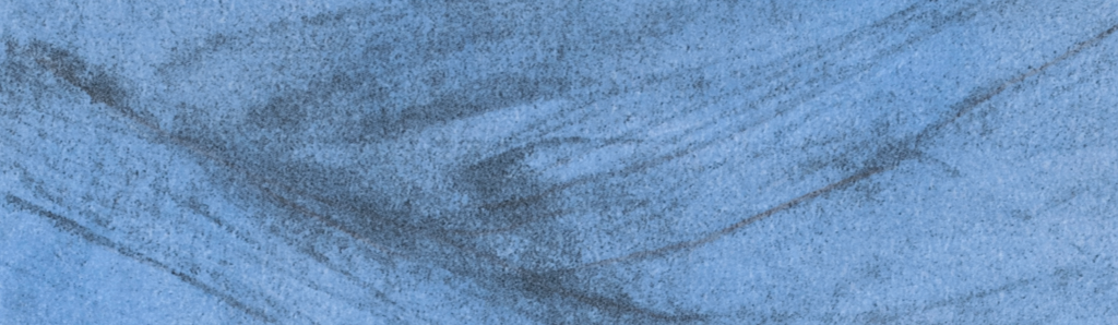 Carnetbleu_large2